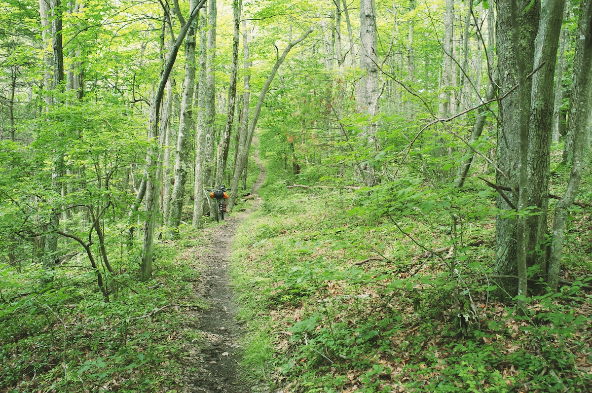 Bikepacking Virginia Iron Mountain Trail