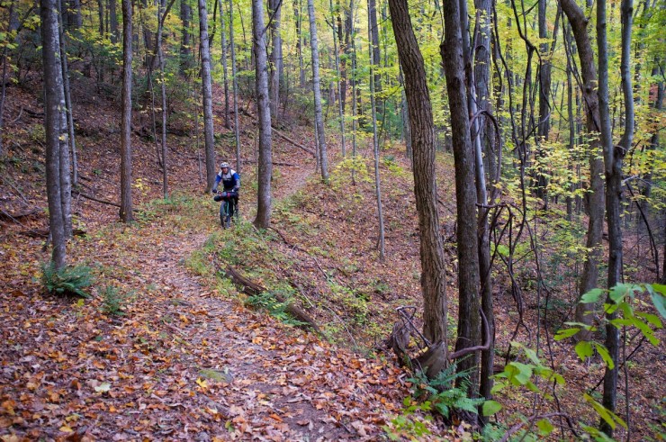 Bikepacking Wilson Creek