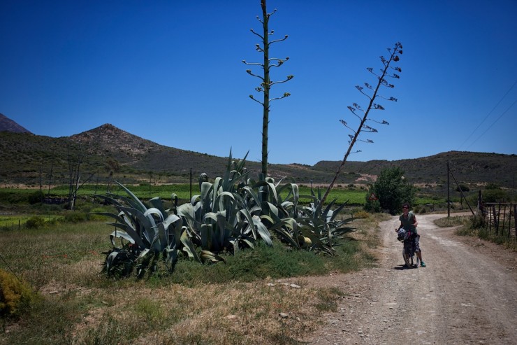Bike Touring South Africa - Klein Karoo