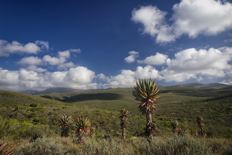 Bike Touring South Africa - Rooiberg Pass