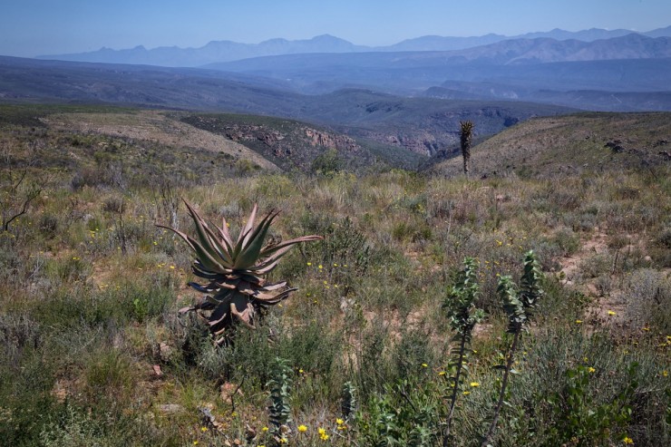Bike Touring South Africa - Klein Karoo