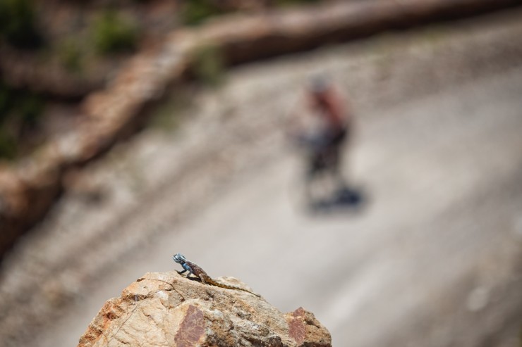 Bike Touring South Africa - Klein Karoo