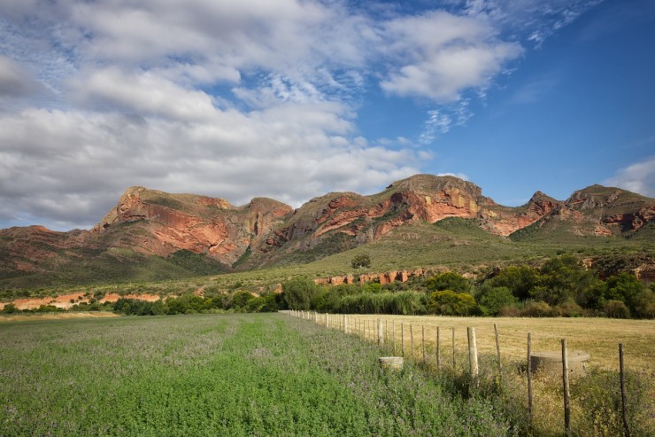 Red Hills South Africa