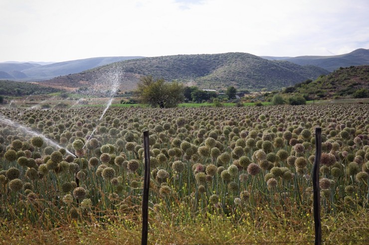 Bicycle Touring South Africa Farming