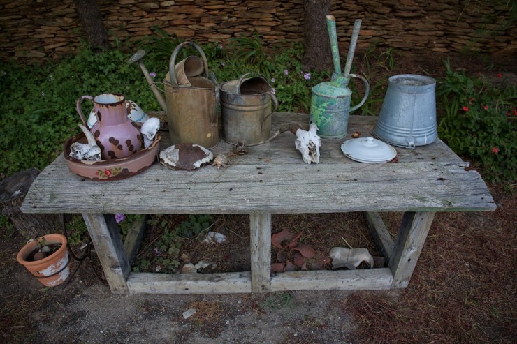 South Africa Farm