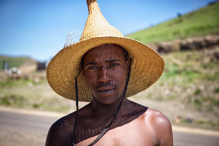 Lesotho Shepard