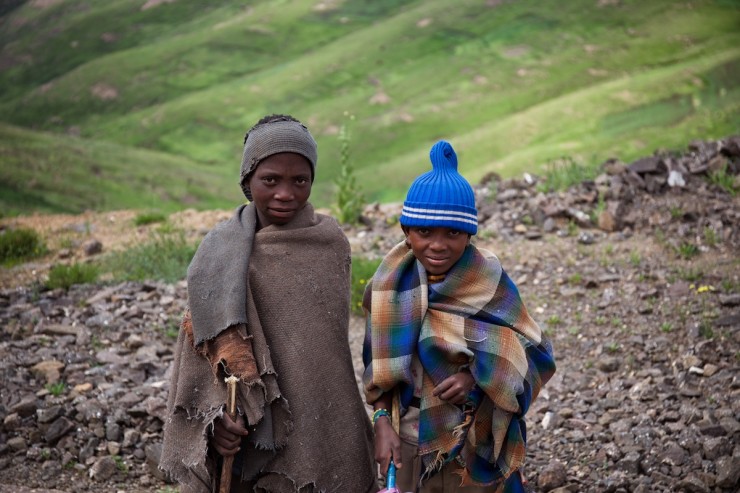 Lesotho Shepard