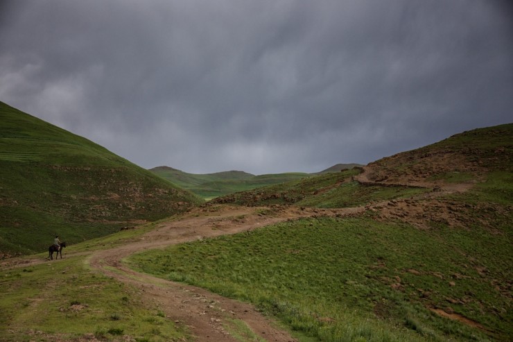 Bicycle Touring Lesotho - Horse