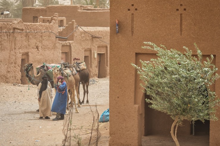 Morocco Sahara Dust Storm