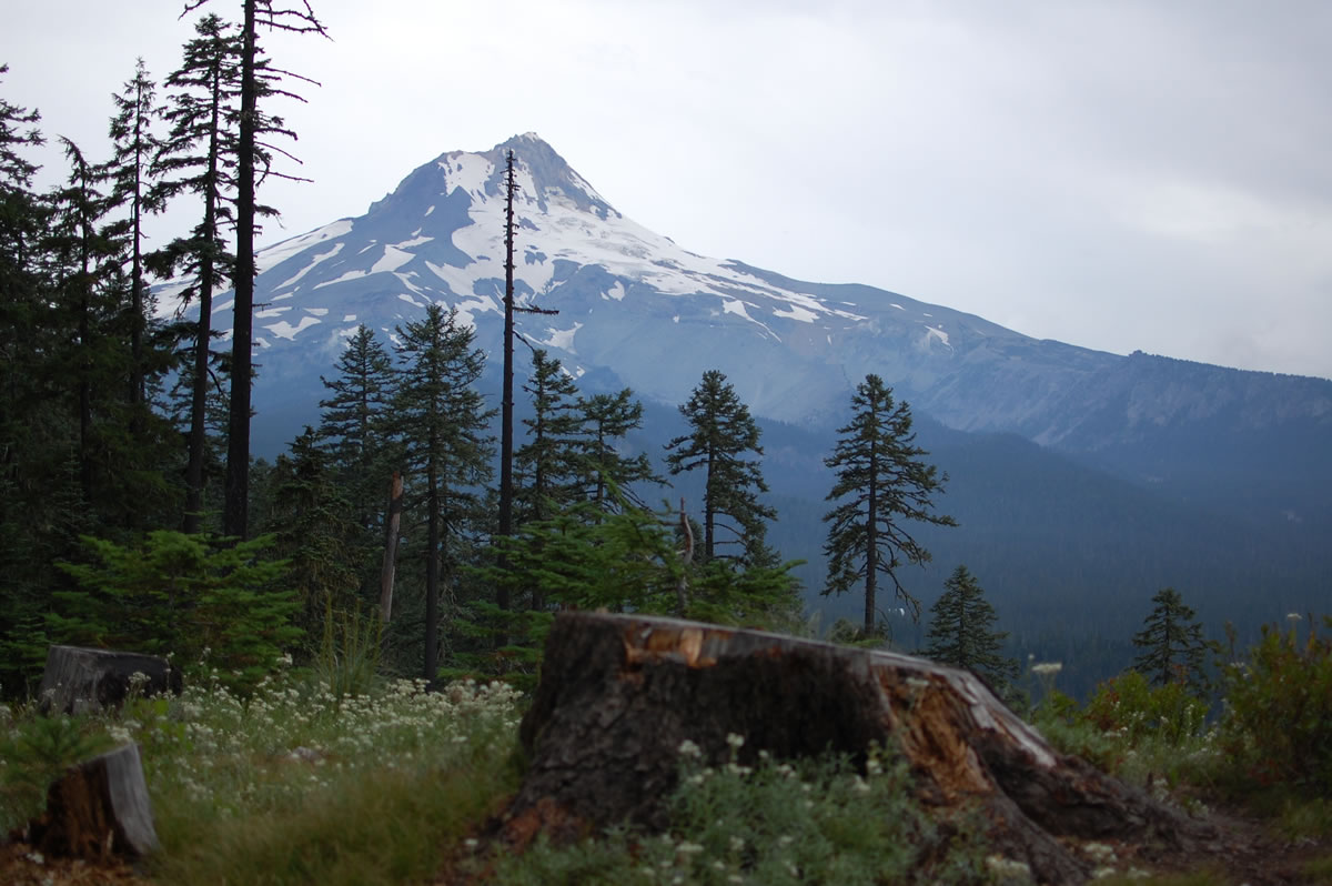 Bikepacking Gunsight Ridge Mt. Hood