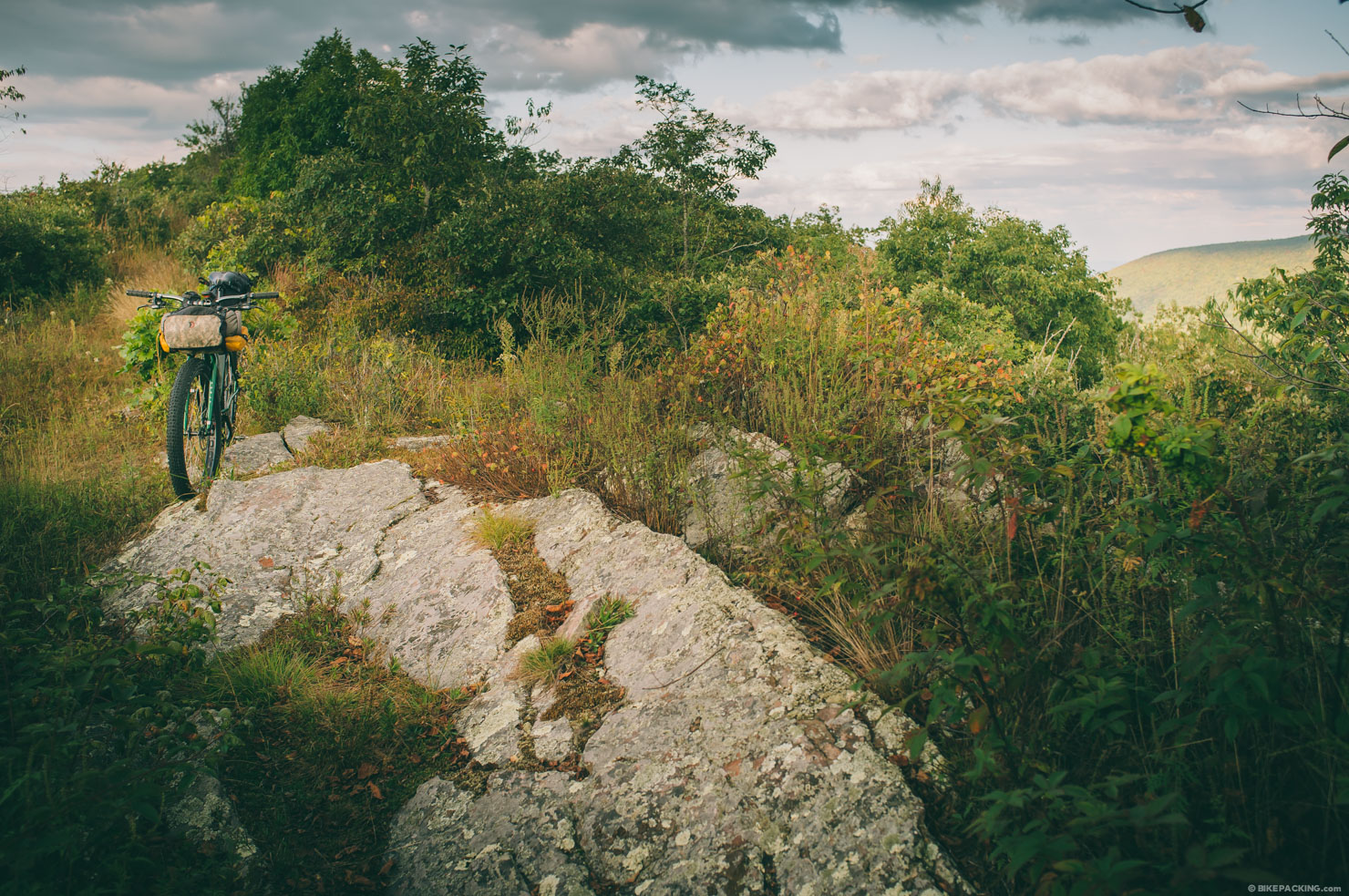 Virginia Mountain Bike Trail (VMBT)