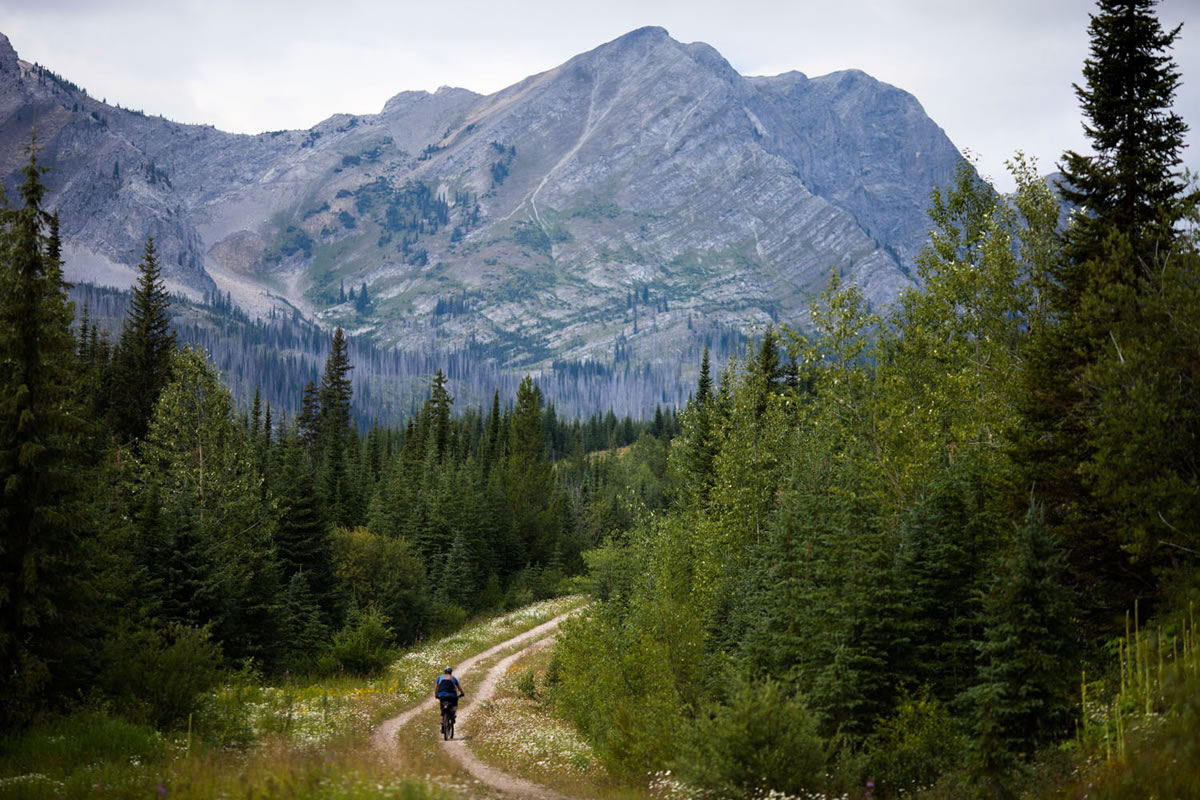the great divide bikepacking