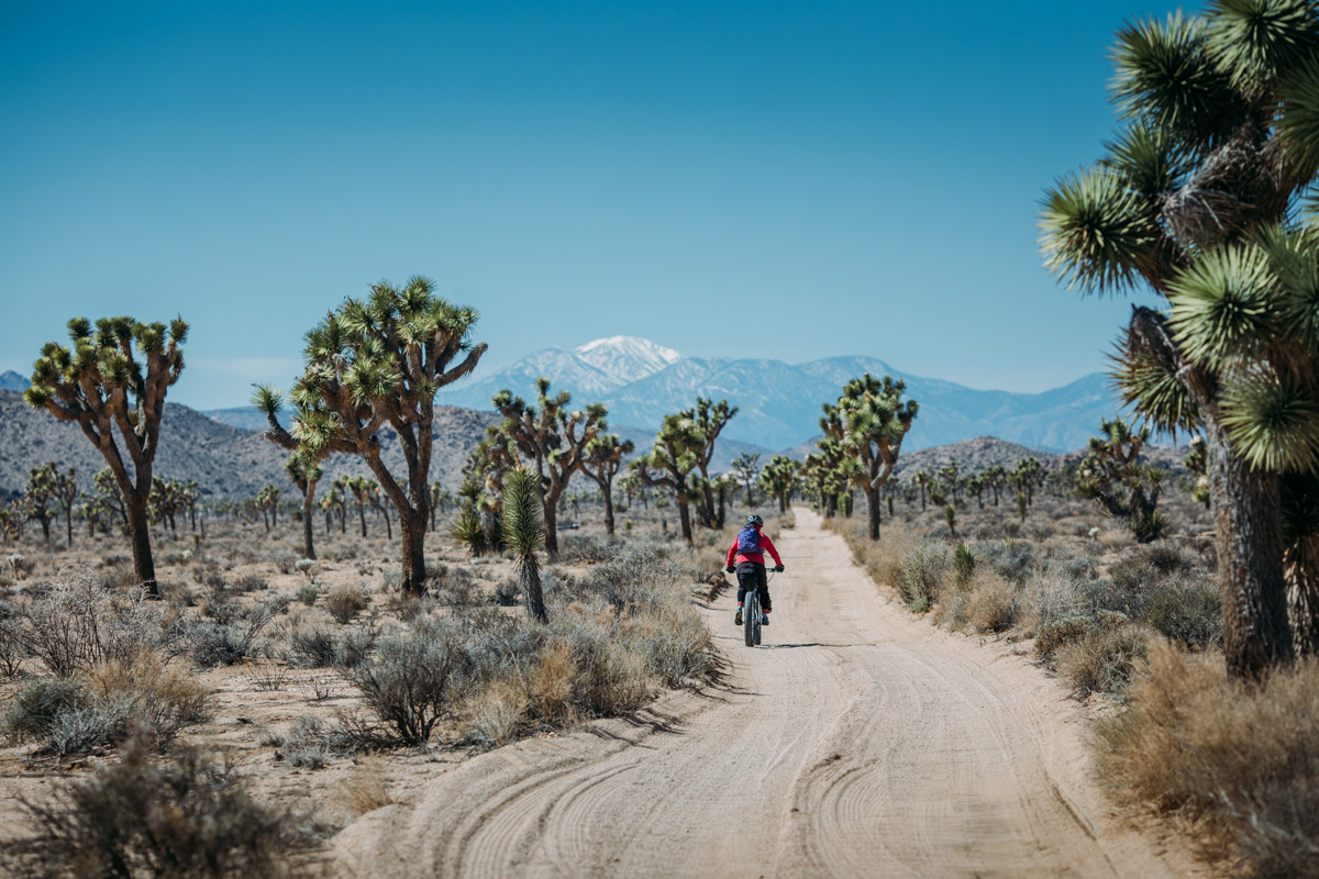 road cycling joshua tree