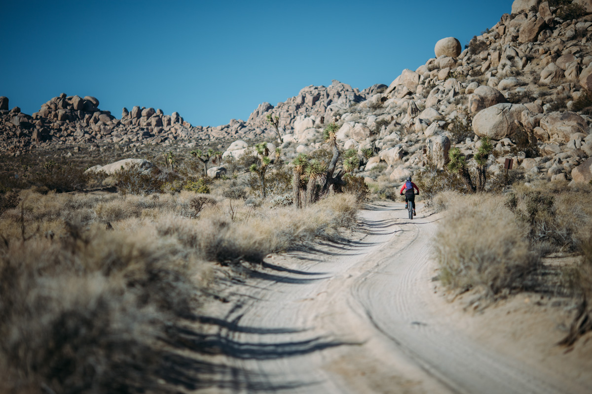 road cycling joshua tree