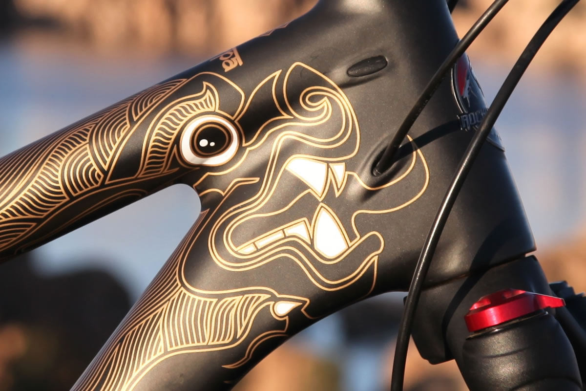 Rocky Mountain Sherpa Review