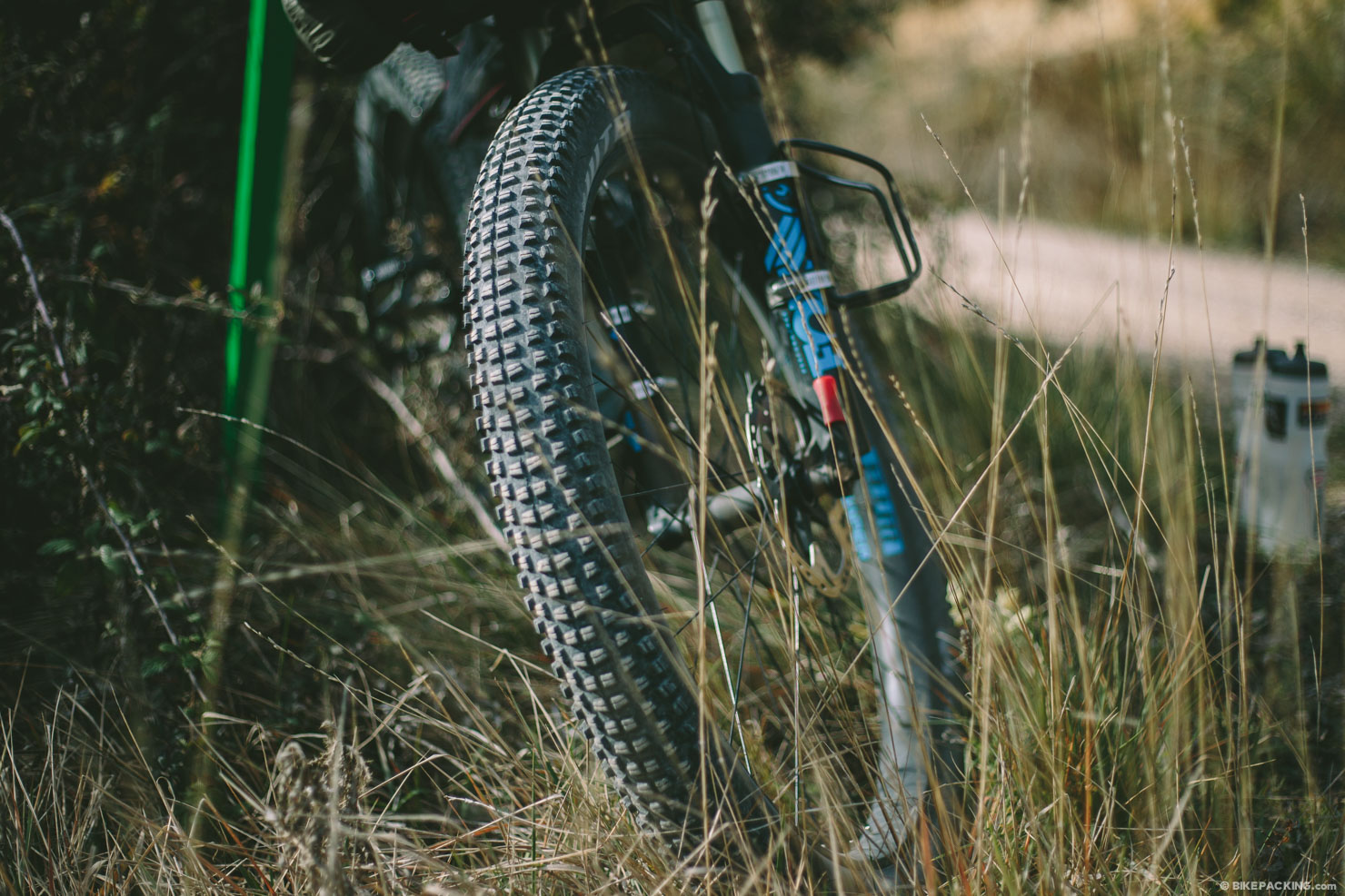 WTB Trail Boss 3.0 Review