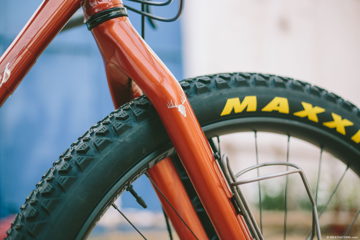 salsa deadwood frame