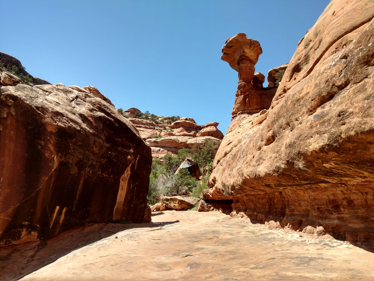 Mesa Az >> Cedar Mesa Loop: Ruins and Monuments - BIKEPACKING.com Mesa Az >> Cedar Mesa Loop: Ruins and Monuments - BIKEPACKING.com