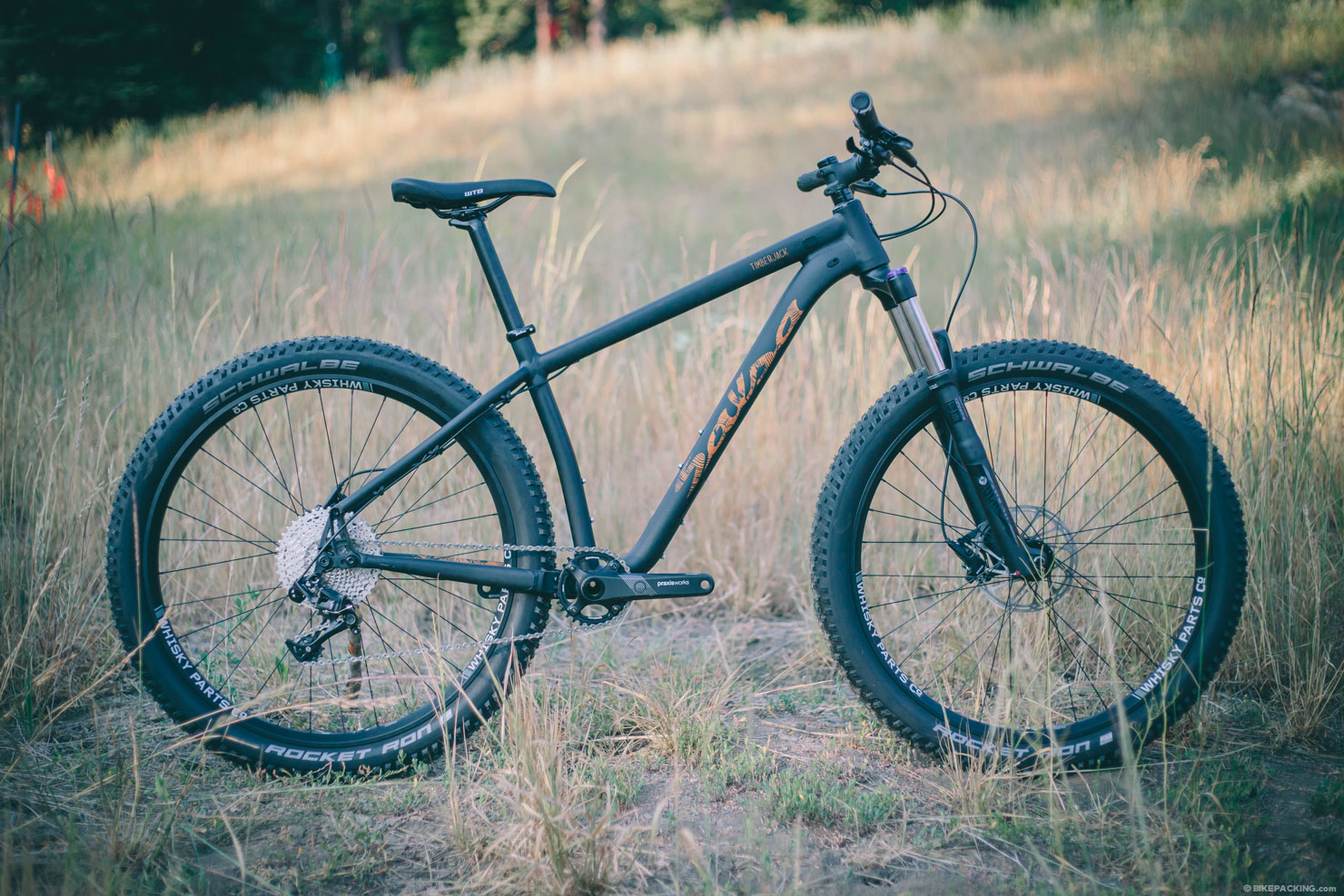 Salsa Timberjack, Fargo 27.5+ & Mukluk Carbon