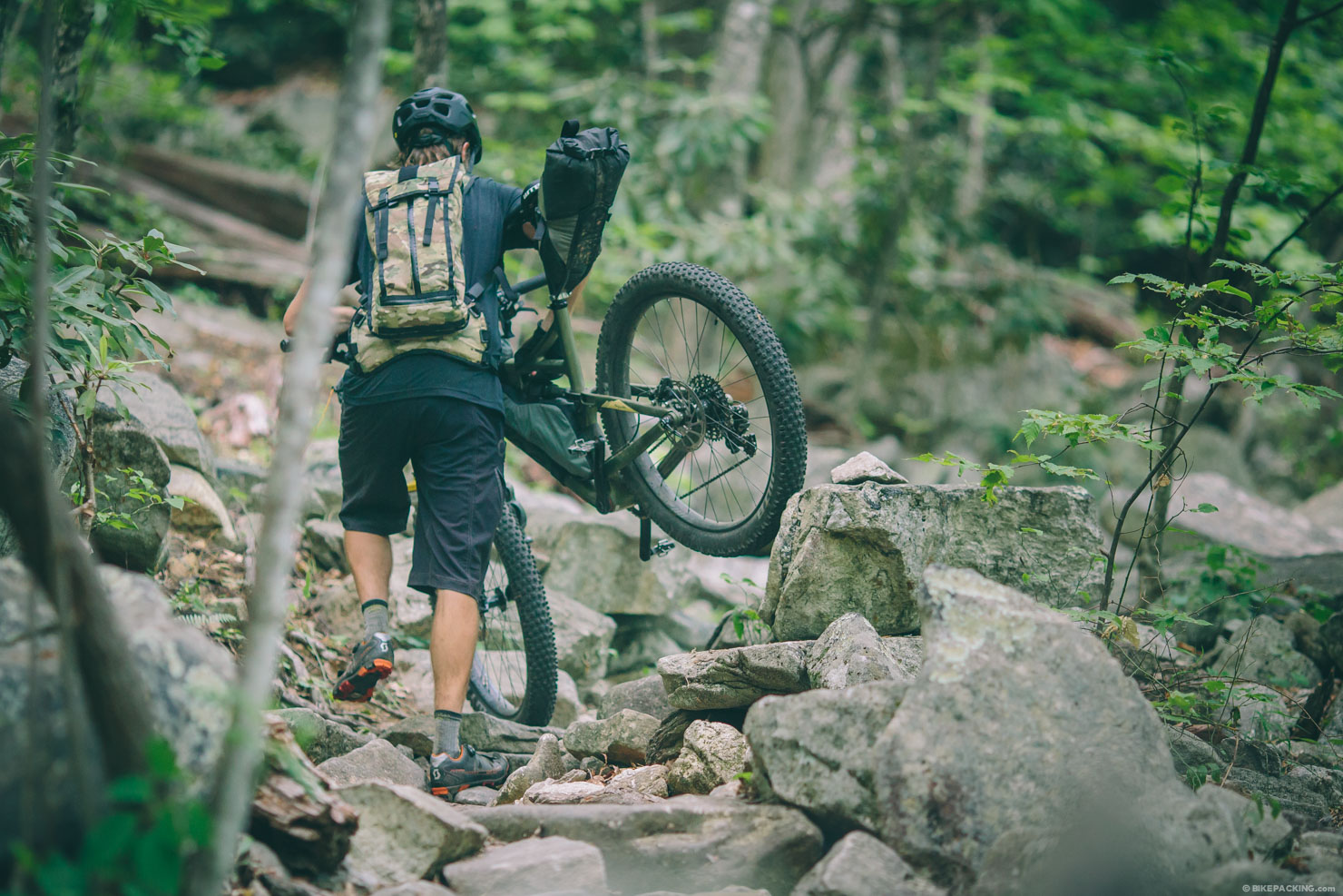 scott elite boa shoes