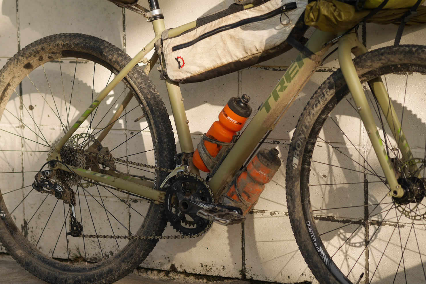 ghost shrimp for fishing