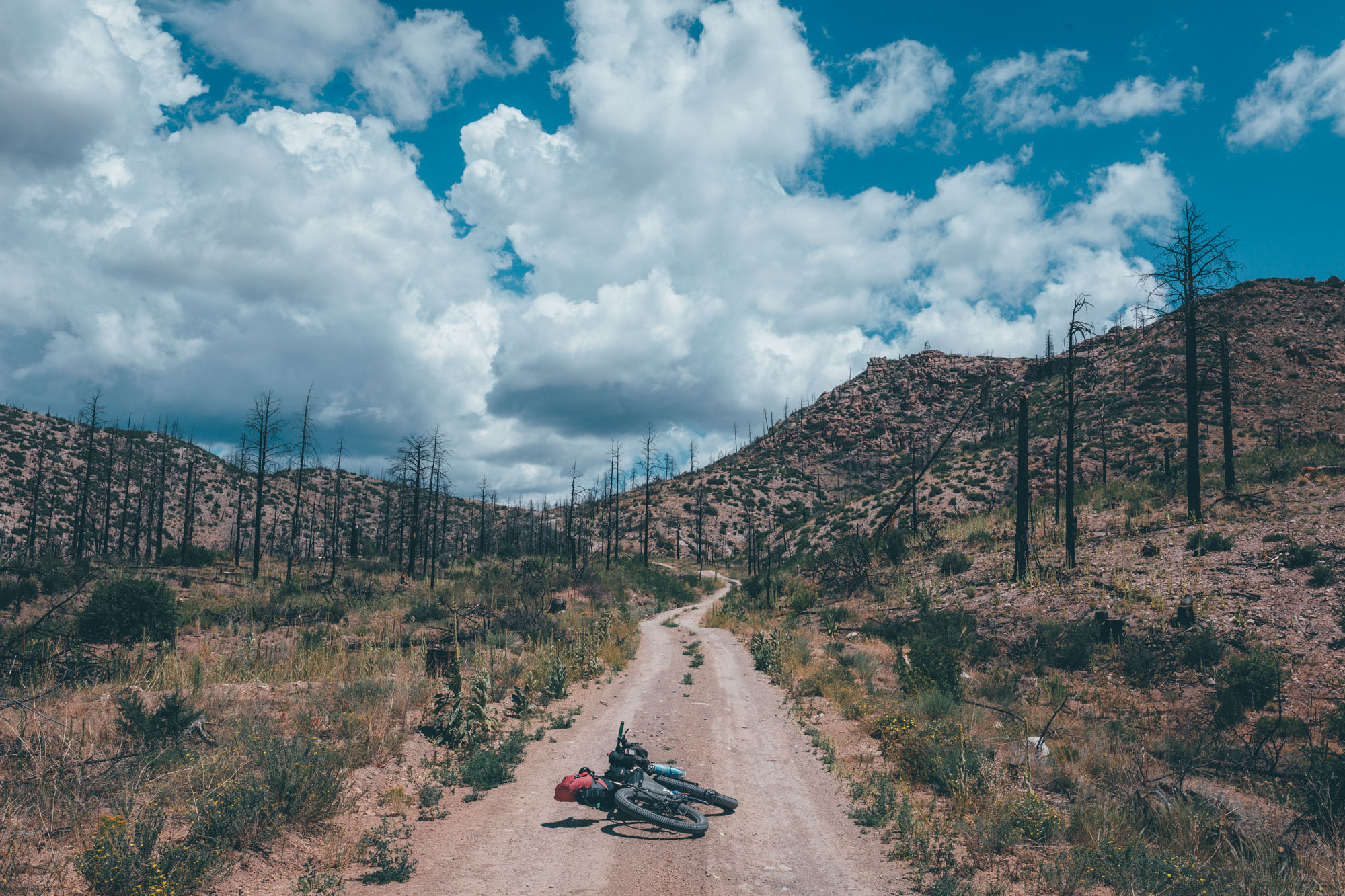 Valles Caldera Explorer, New Mexico