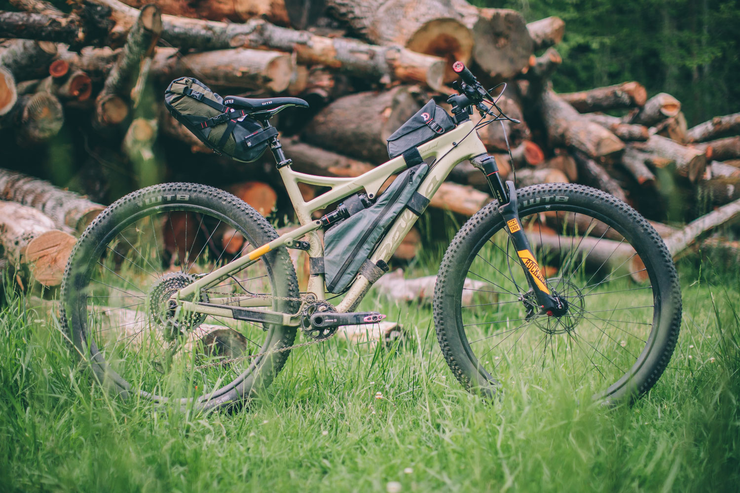 salsa deadwood frame