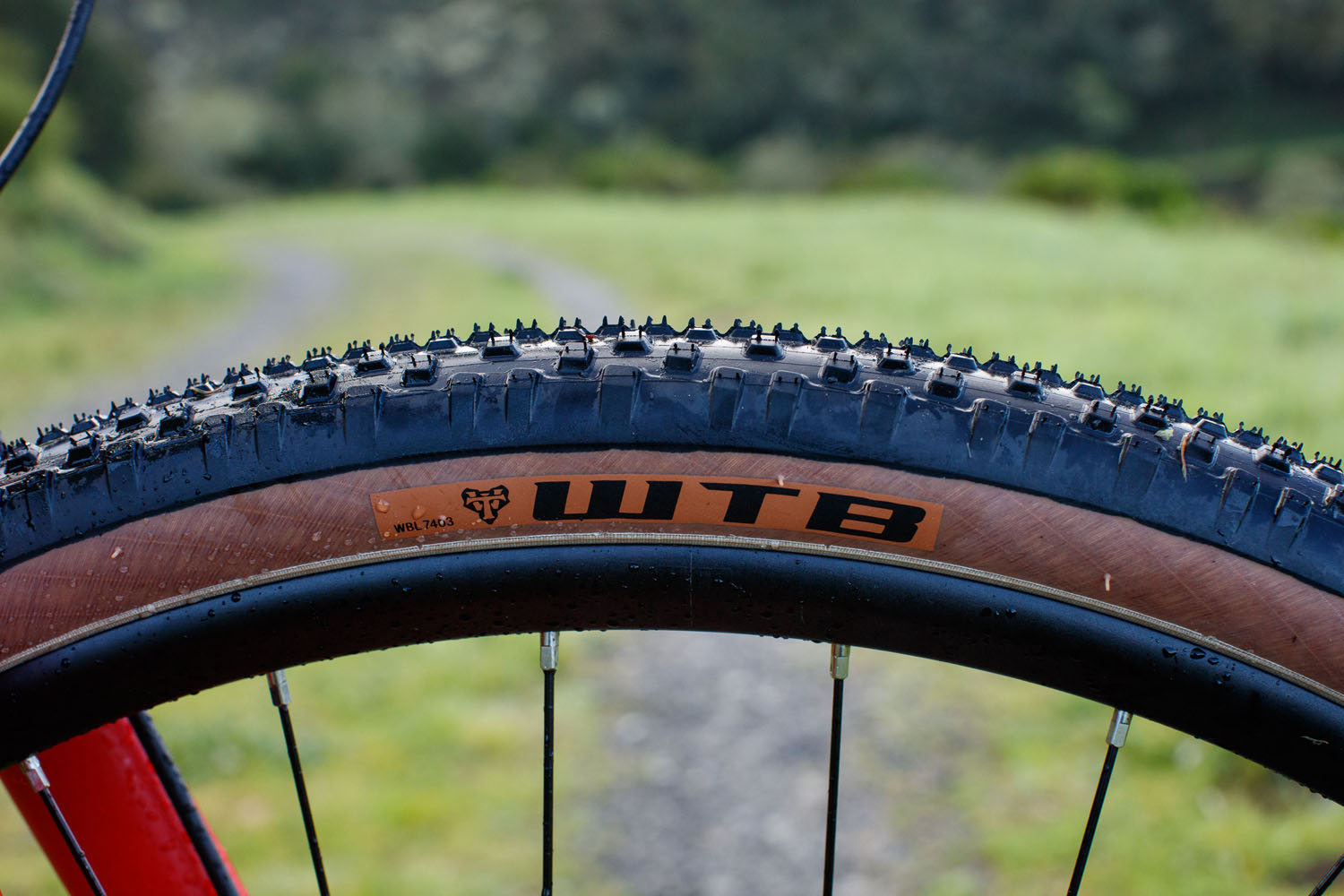 All New WTB Resolute 42 Gravel Tire