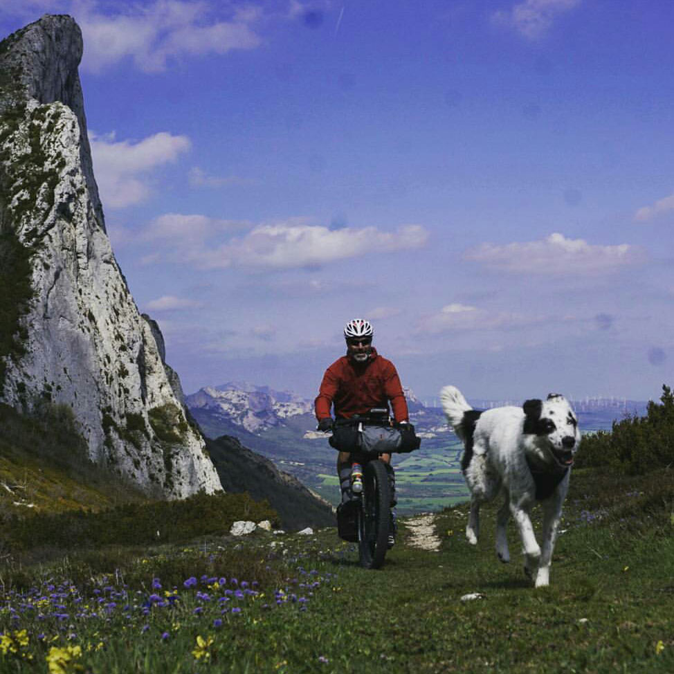 Dogpacking, Guide to Bikepacking With Your Dog