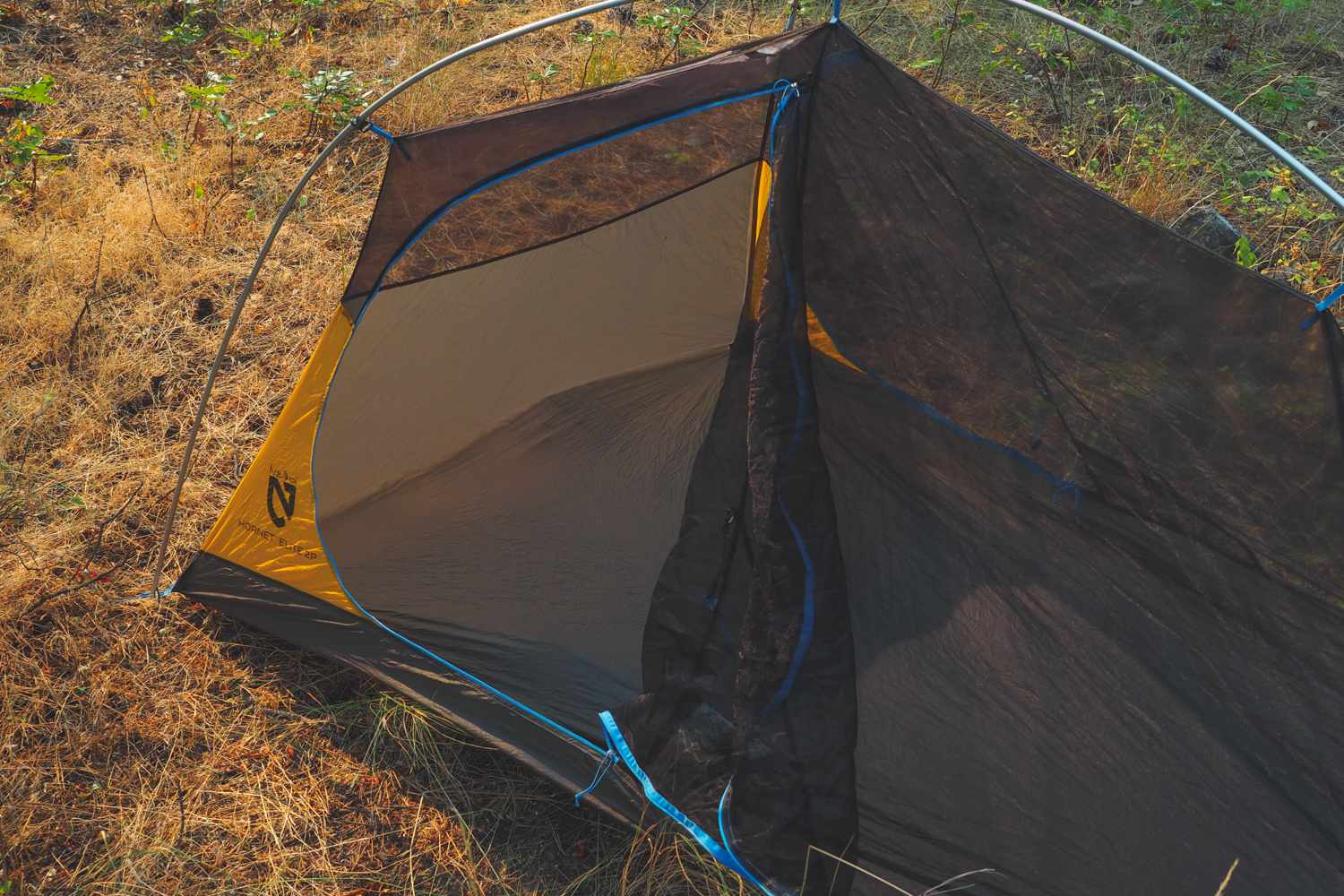 nemo hornet 2 weight