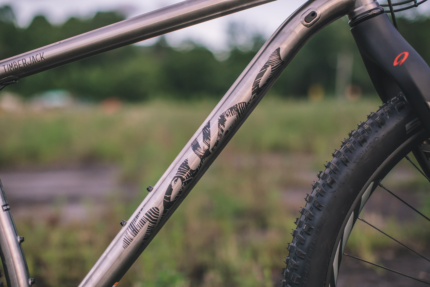 salsa timberjack ti frame weight