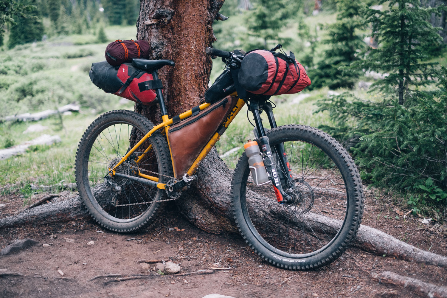 surly karate monkey 2015