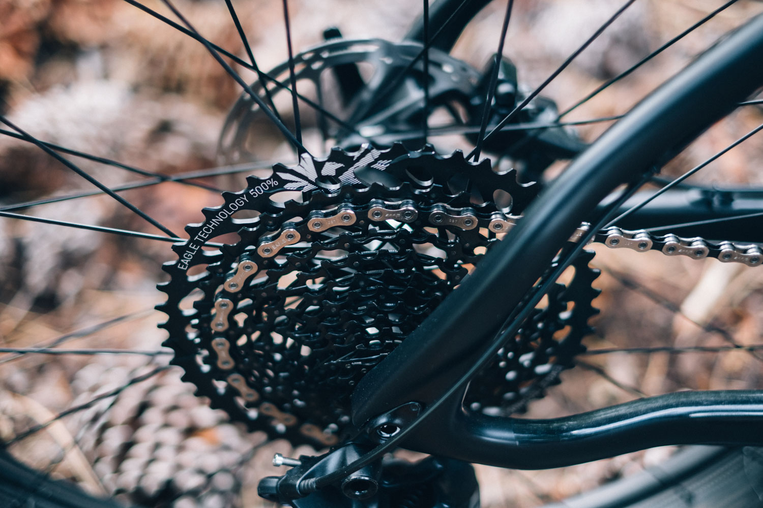 salsa beargrease 2017