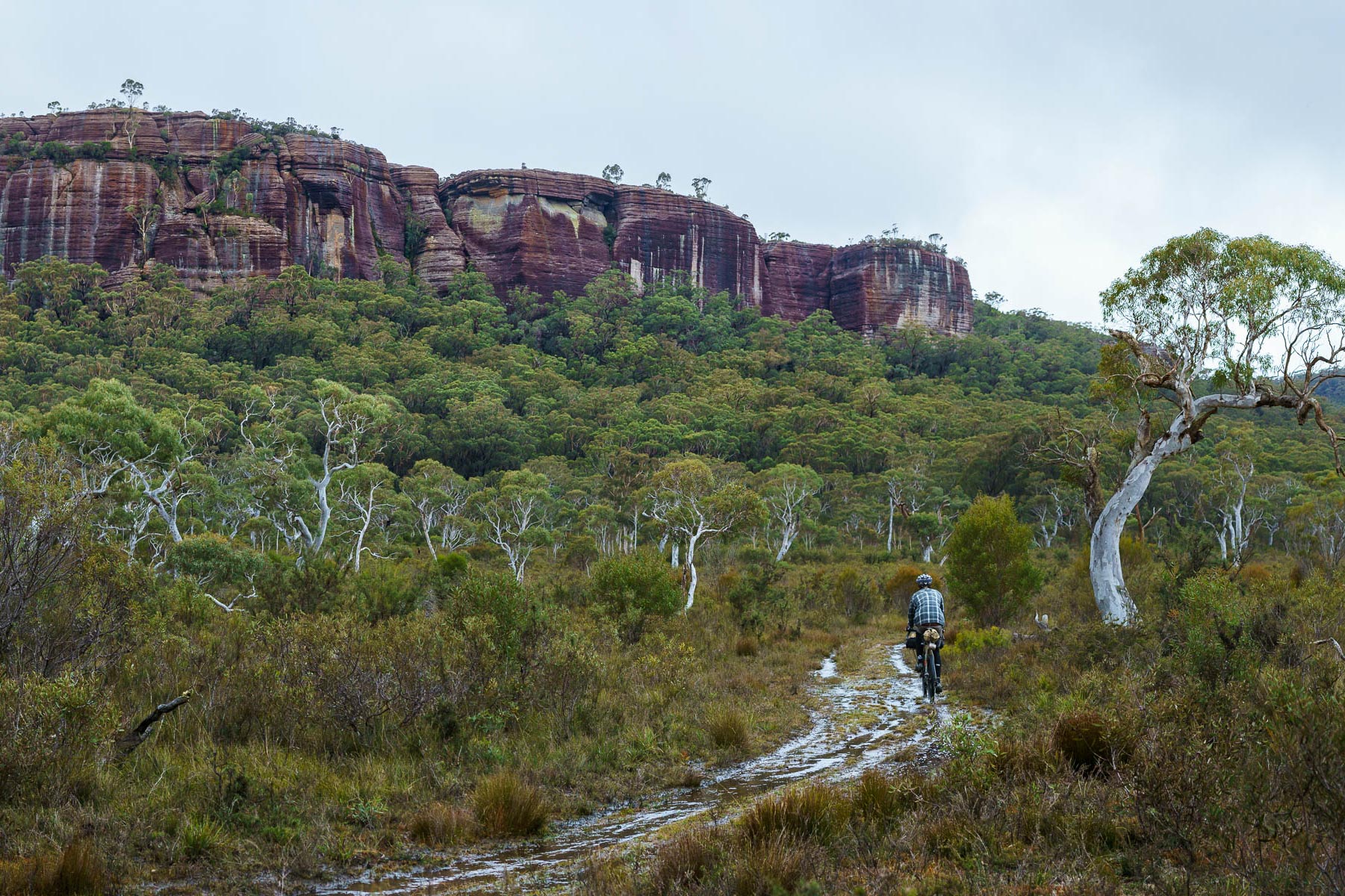 Attack of The Buns, Australia
