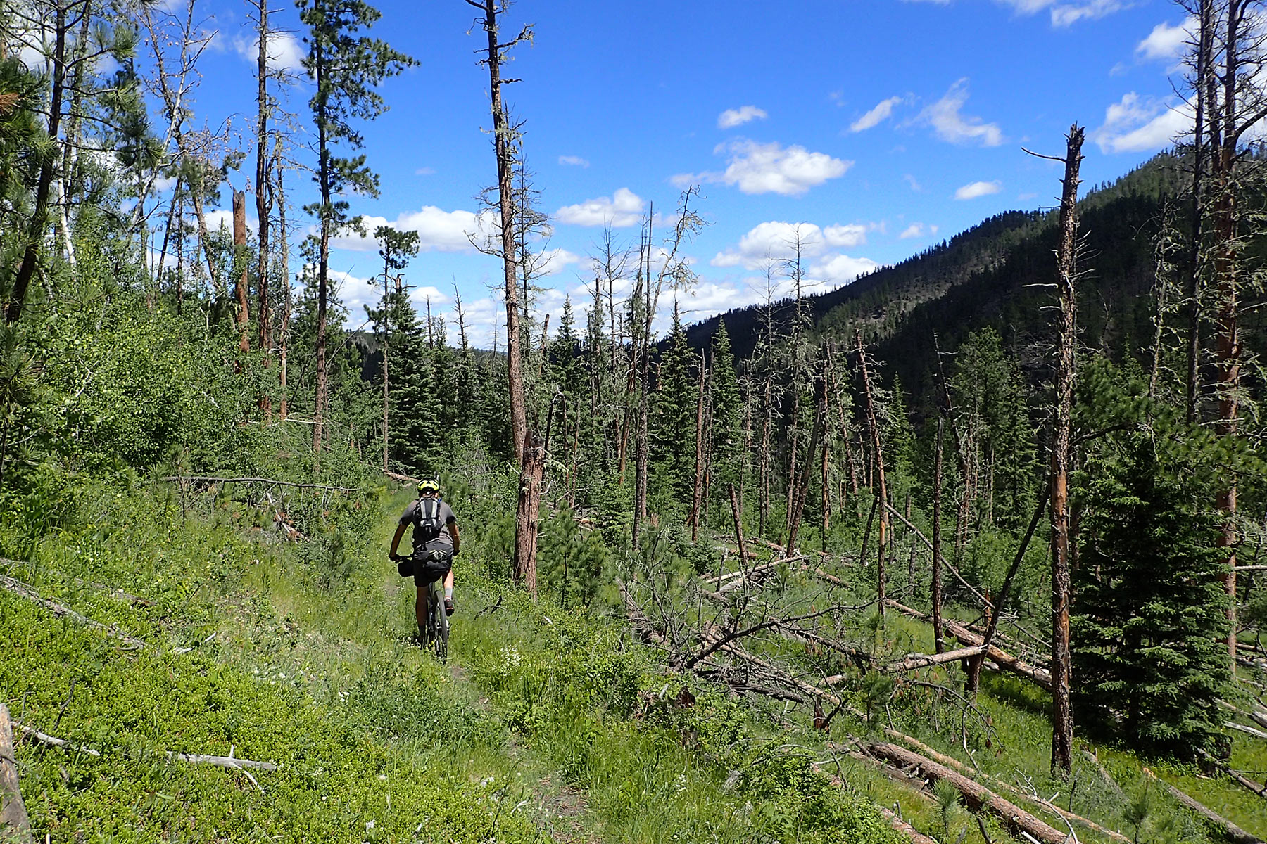 Black Hills Pay Dirt, South Dakota Bikepacking