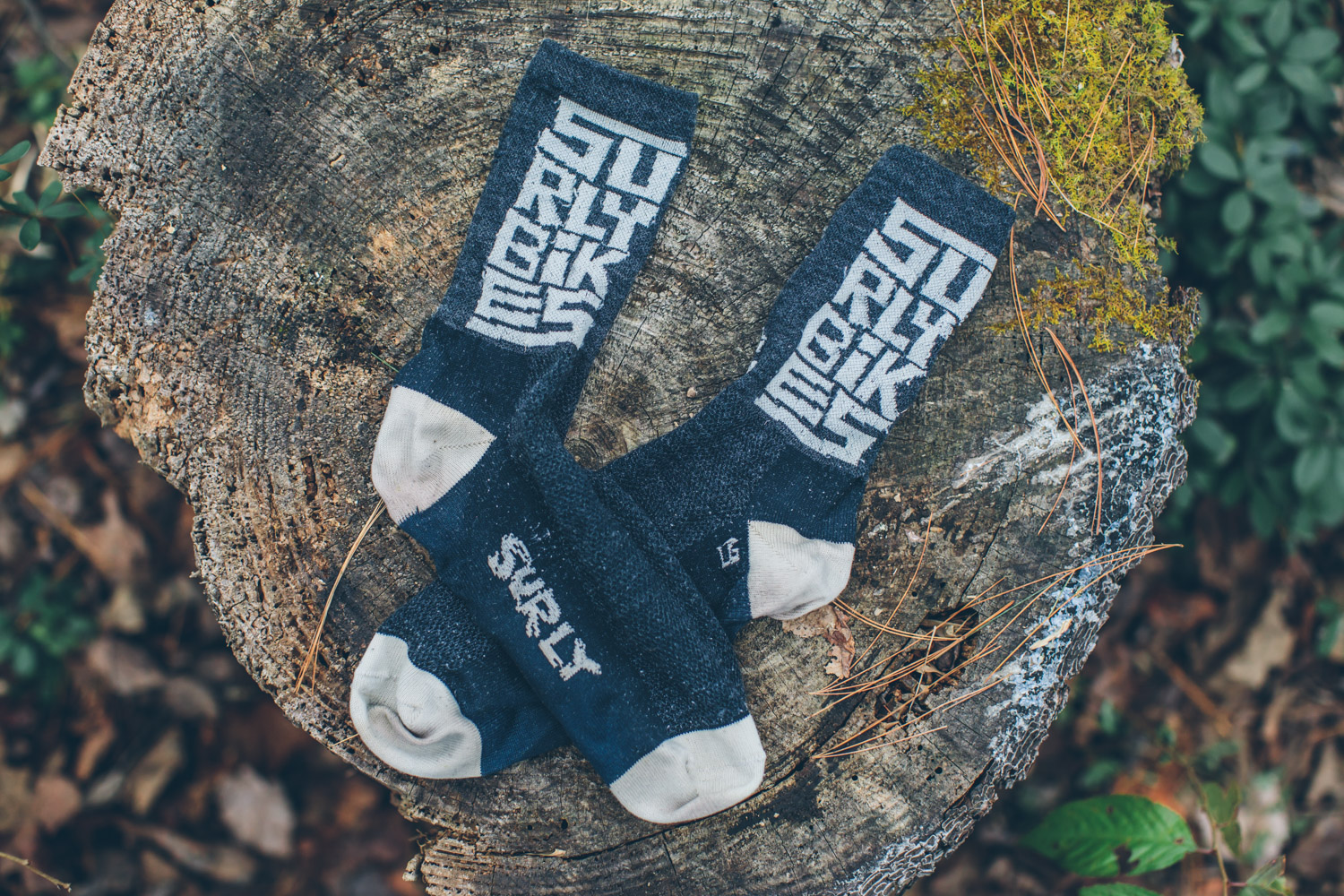 Bikepacking Gear That Lasts, A Gift Guide