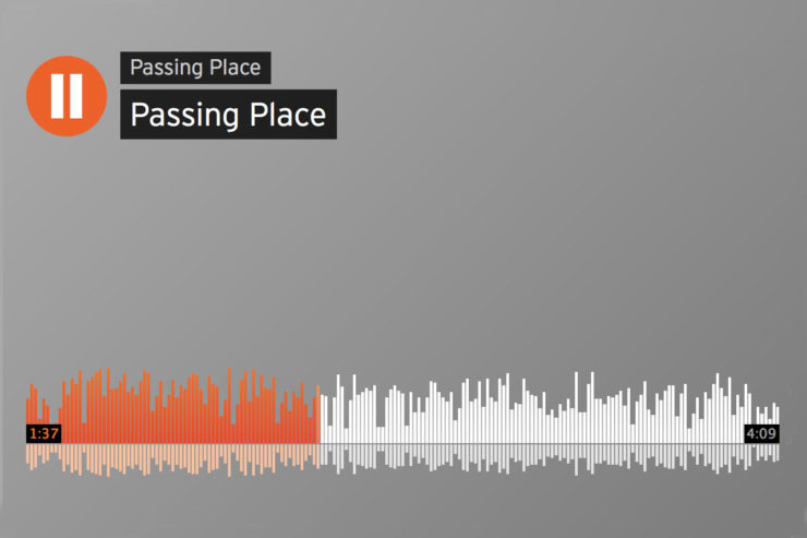 Passing Place, Whitney Ford-Terry