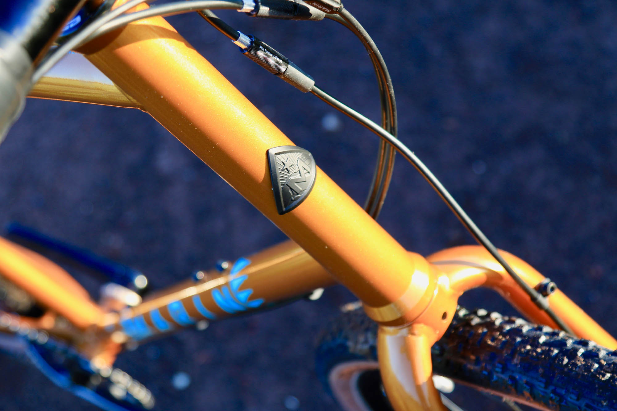 2019 Marin Four Corners Elite