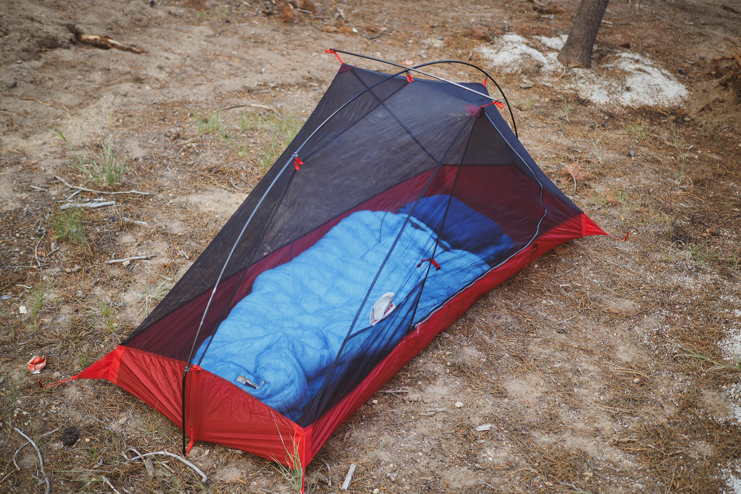 MSR Carbon Reflex 1 Review