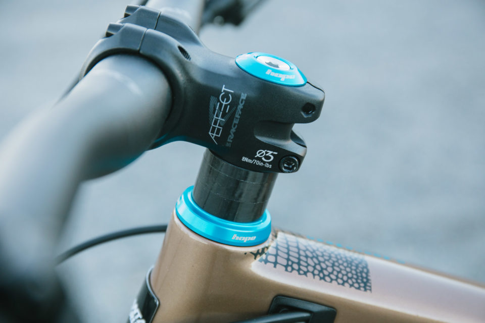 santa cruz chameleon c