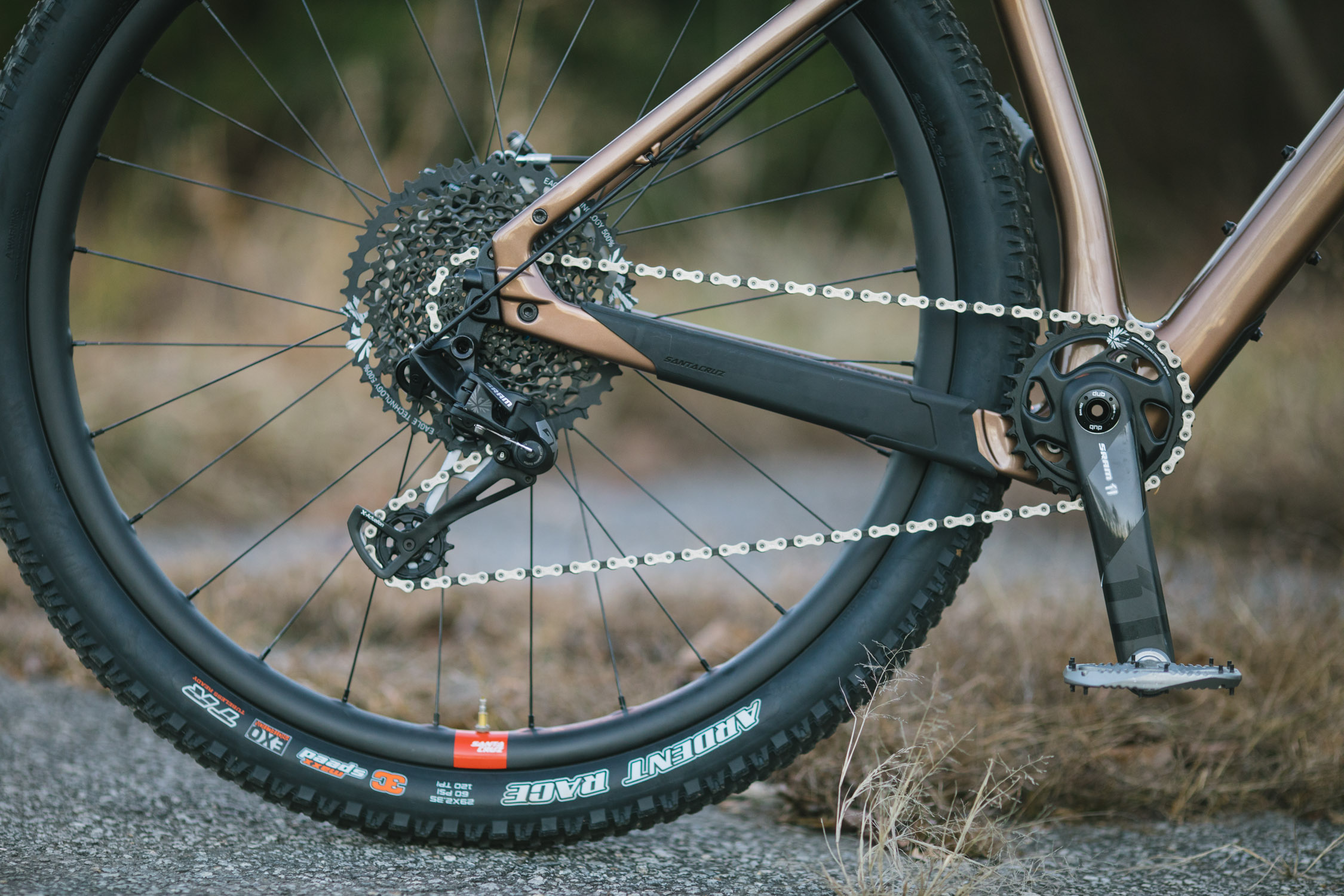 santa cruz chameleon c