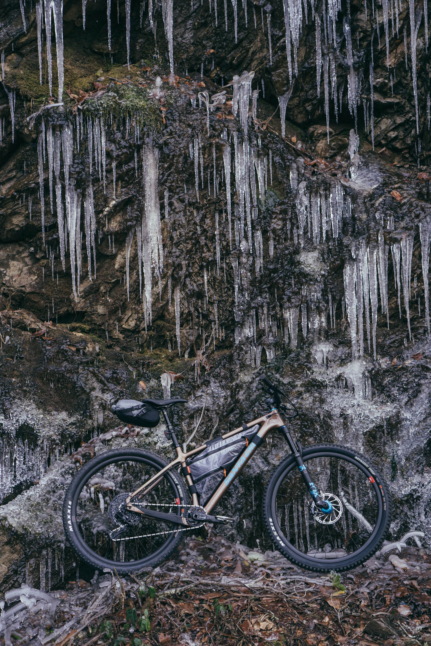 santa cruz chameleon c