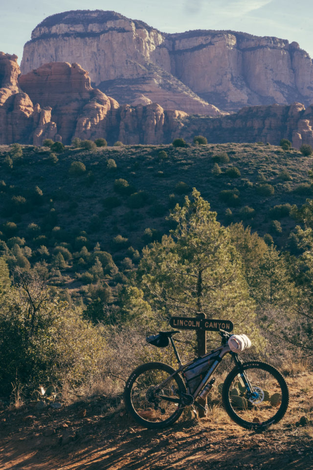 santa cruz chameleon c