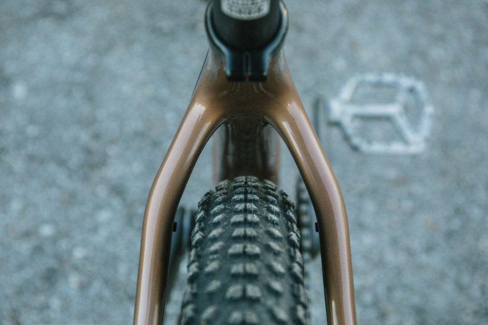 santa cruz chameleon c