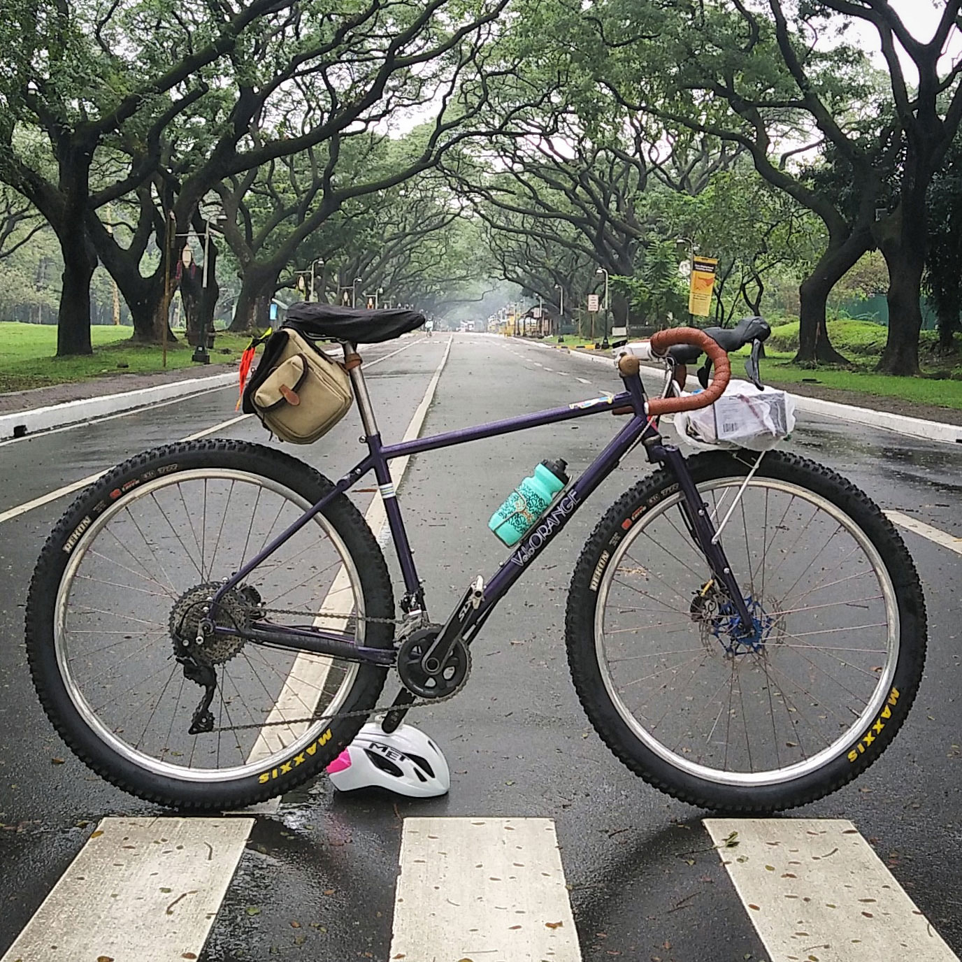 Reader's Rig, Pao's Velo Orange Piolet