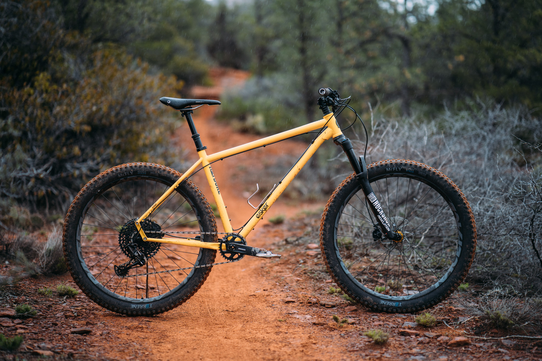 trail hardtail 29