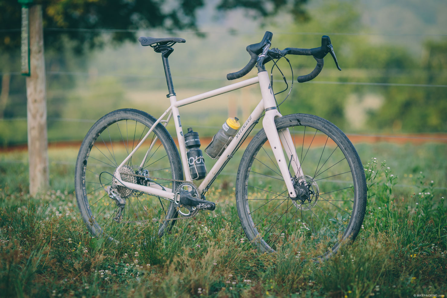 Risultati immagini per sequoia specialized